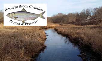 Buckeye Brook Coalition